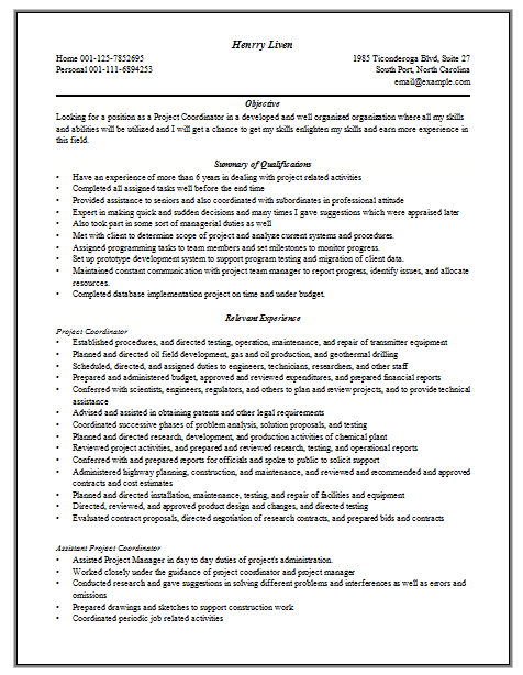 Resume for project manager examples